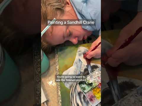 Watch Me Paint a Sandhill Crane | Watercolor Art Inspired by Louisiana’s Unique Birds #neworleans